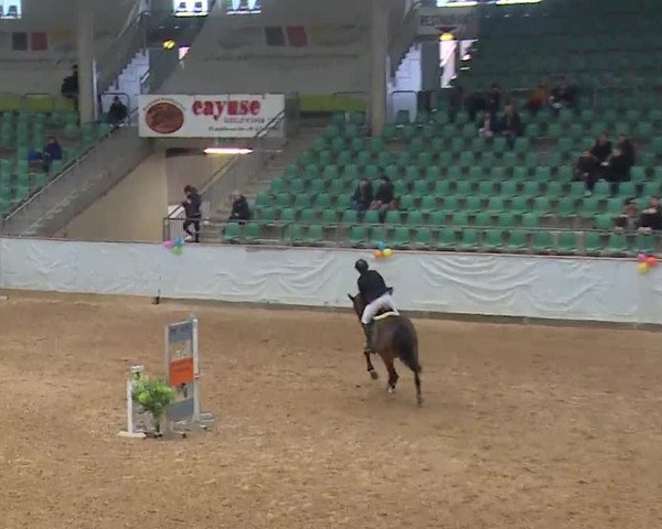 Reitturnier Kreuth 2023