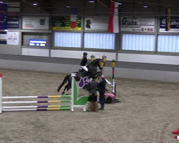 Reitturnier Luhmühlen 2023