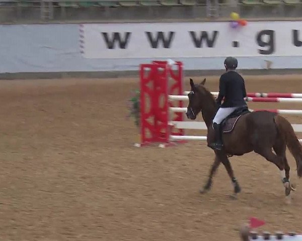 Reitturnier Kreuth 2023