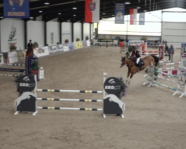 Reitturnier Borken 2023