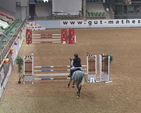 Reitturnier Kreuth 2023