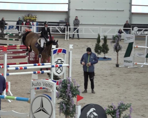 Reitturnier Borken 2023