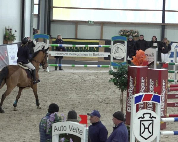 Reitturnier Borken 2023