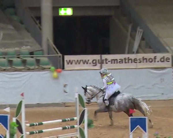 Reitturnier Kreuth 2023
