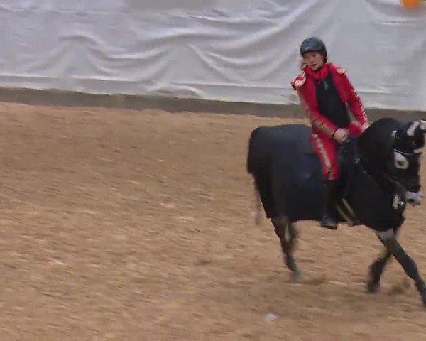 Reitturnier Kreuth 2023