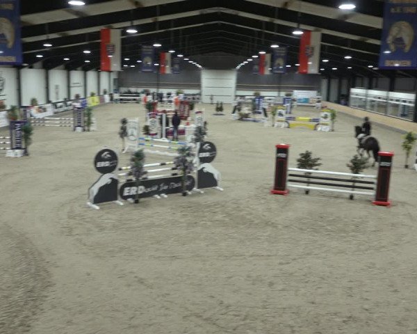 Reitturnier Borken 2023