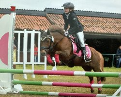 broodmare Salea (Shetland Pony, 2003, from Pier II)