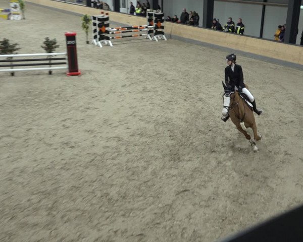 Reitturnier Borken 2023