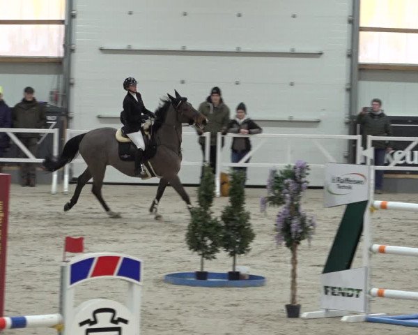 Reitturnier Borken 2023
