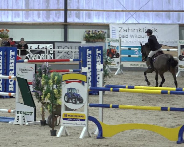 Reitturnier Borken 2023