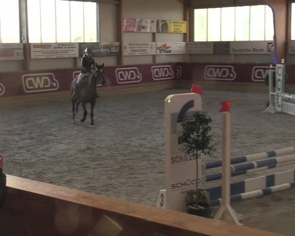 Reitturnier Goch-Asperden 2023