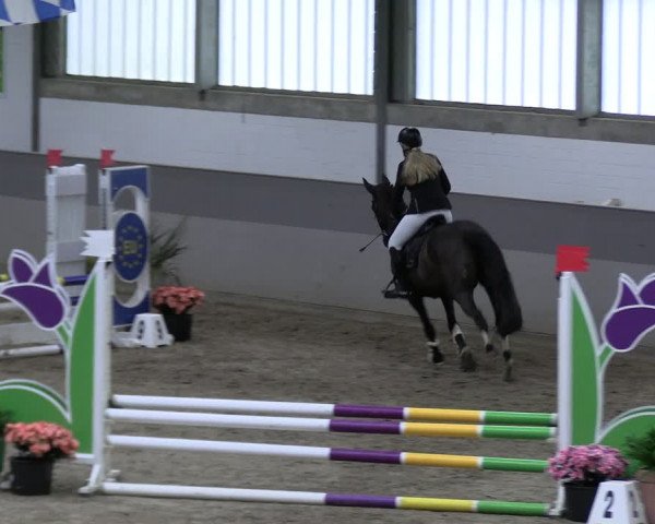 Reitturnier Luhmühlen 2023