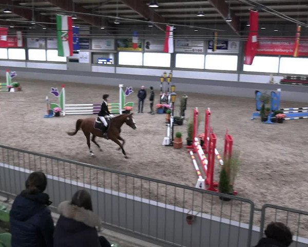 Reitturnier Luhmühlen 2023