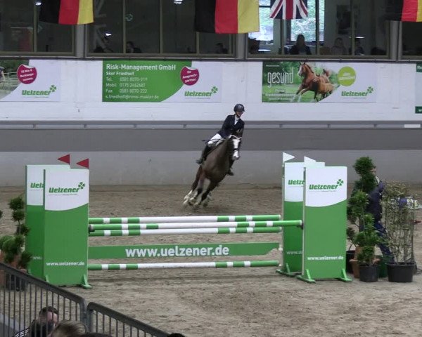 Reitturnier Luhmühlen 2023