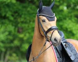 broodmare Dornrösschen (German Riding Pony, 2018, from Big Day by Day)