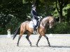 dressage horse Yakari 39 (Swedish Warmblood, 2007, from Remiro HM)