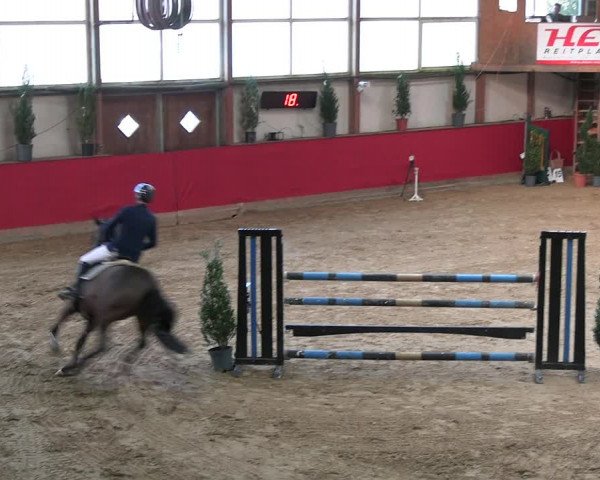 Reitturnier Klein Drehle - Reitanlage König 2023