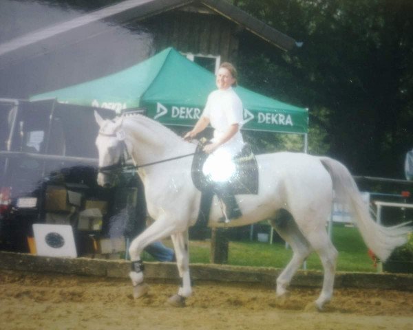 horse August 14 (Mecklenburg, 1990, from Amateur)