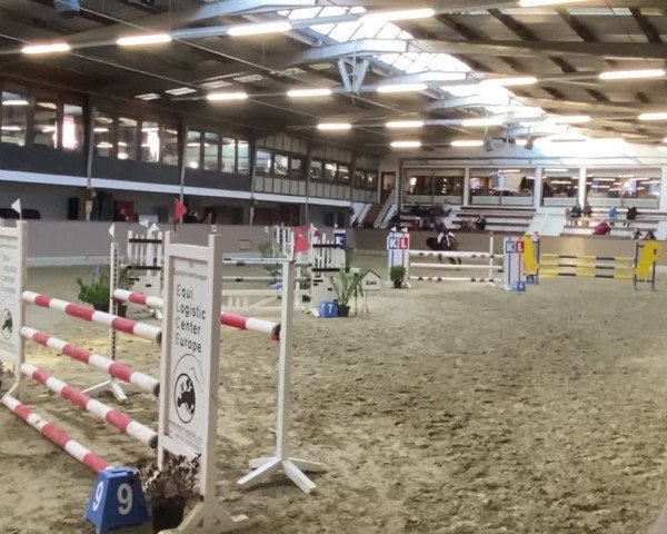 Reitturnier Haren-Raken 2023