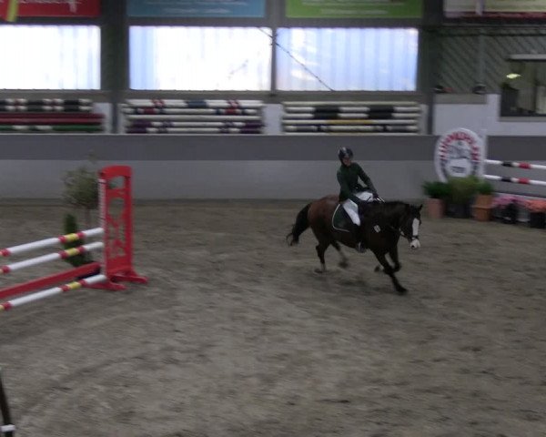Reitturnier Luhmühlen 2023