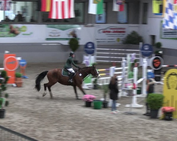 Reitturnier Luhmühlen 2023