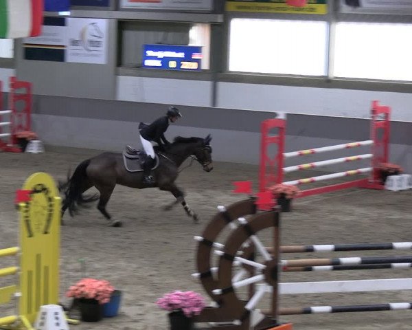 Reitturnier Luhmühlen 2023