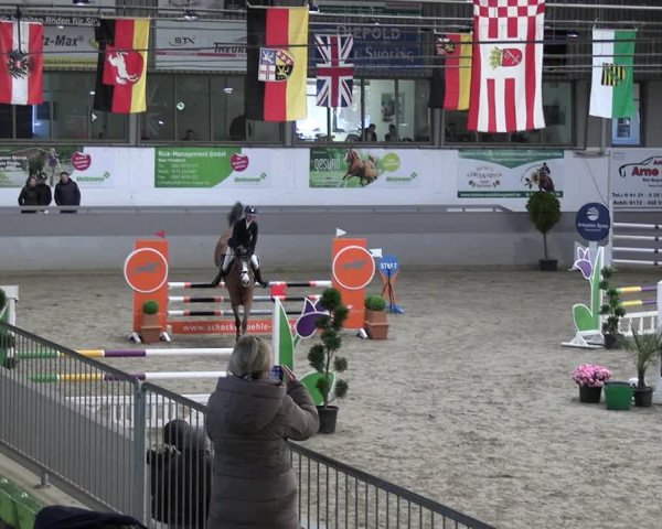 Reitturnier Luhmühlen 2023