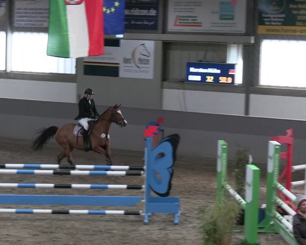 Reitturnier Luhmühlen 2023