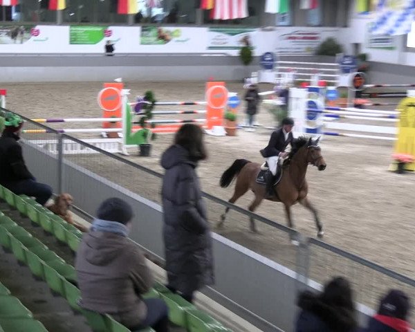 Reitturnier Luhmühlen 2023