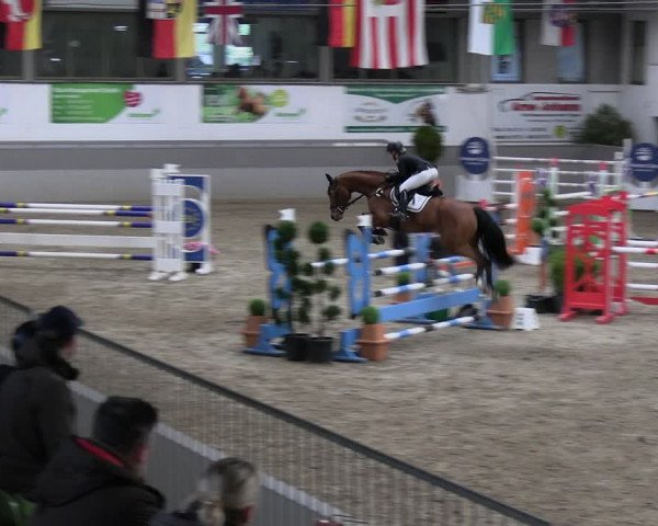 Reitturnier Luhmühlen 2023