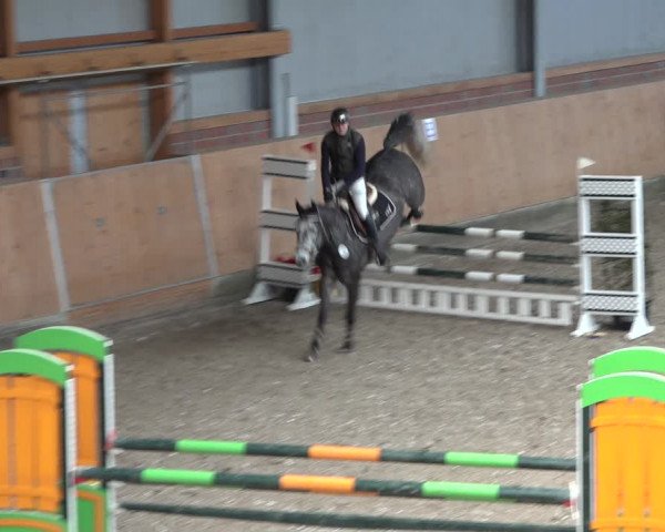 Reitturnier Osterholz-Scharmbeck 2023
