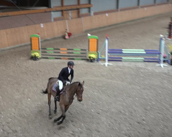 Reitturnier Osterholz-Scharmbeck 2023
