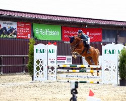 jumper Crime in Time (German Sport Horse, 2018, from Coreggio)