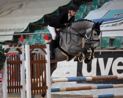 jumper Olaf Blue (Swedish Warmblood, 2018, from Gisborne VDL)