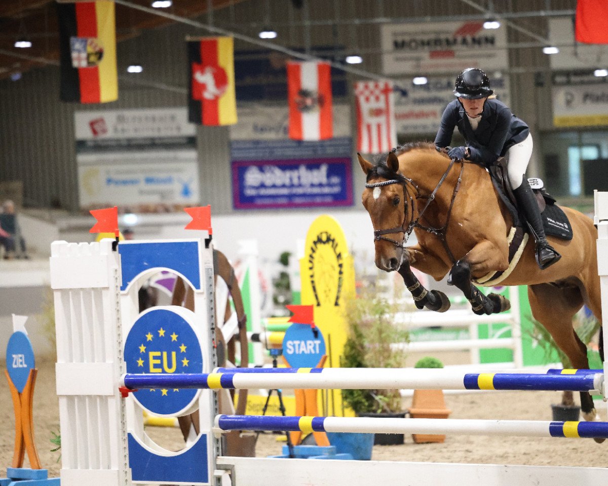 jumper Lumos 13 (Hanoverian, 2018, from Loveless)