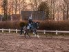 dressage horse Royal Lady Deluxe (Hanoverian, 2017, from Rock Forever NRW)