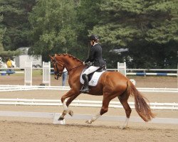 dressage horse Louis Hb (Hanoverian, 2017, from Libertad FRH)