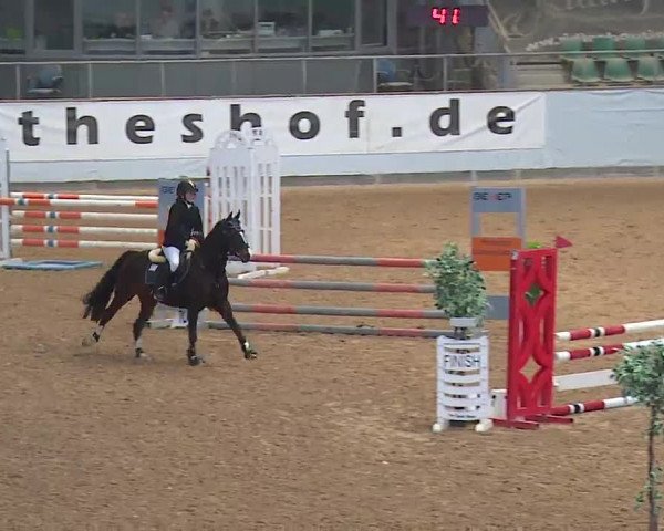 Reitturnier Kreuth 2023