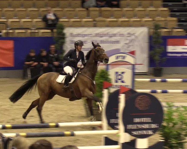 FEI Reitturnier Neumünster (GER) 2021