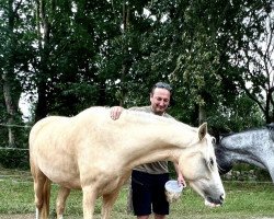 broodmare Helmine JB (German Riding Pony, 2019, from Dragostea Din Tei)