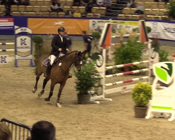 FEI Reitturnier Neumünster (GER) 2021