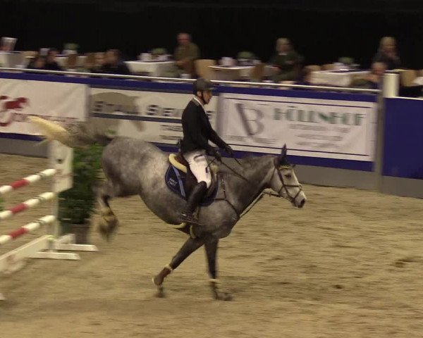 FEI Reitturnier Neumünster (GER) 2021