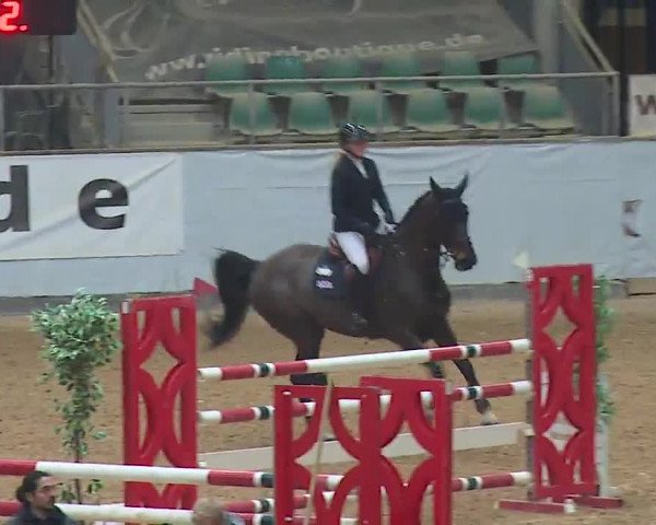Reitturnier Kreuth 2023