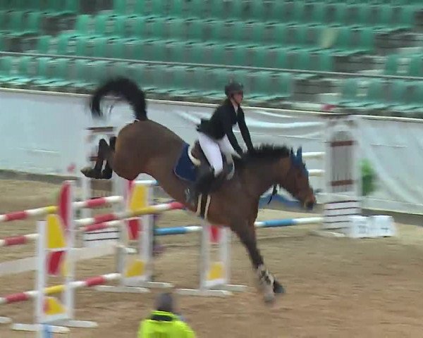 Reitturnier Kreuth 2023