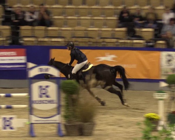 FEI Reitturnier Neumünster (GER) 2021