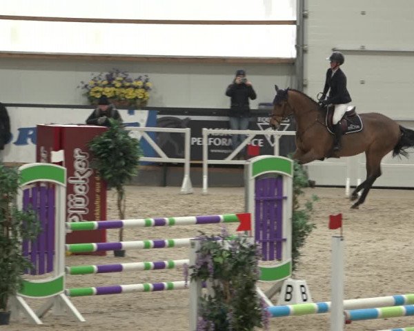 Reitturnier Borken 2023