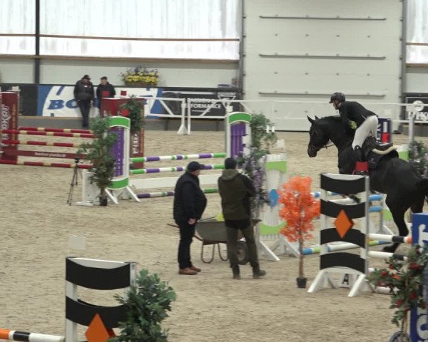Reitturnier Borken 2023