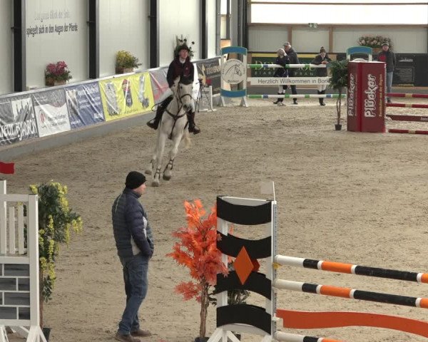 Reitturnier Borken 2023