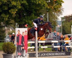 jumper Floh Op Jück (German Riding Pony, 2011, from For Next Generation)