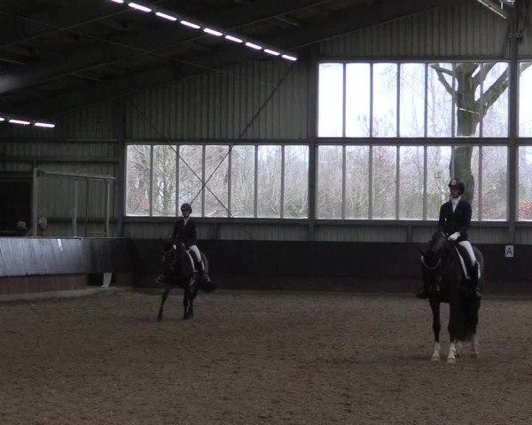 Reitturnier Greven 2023